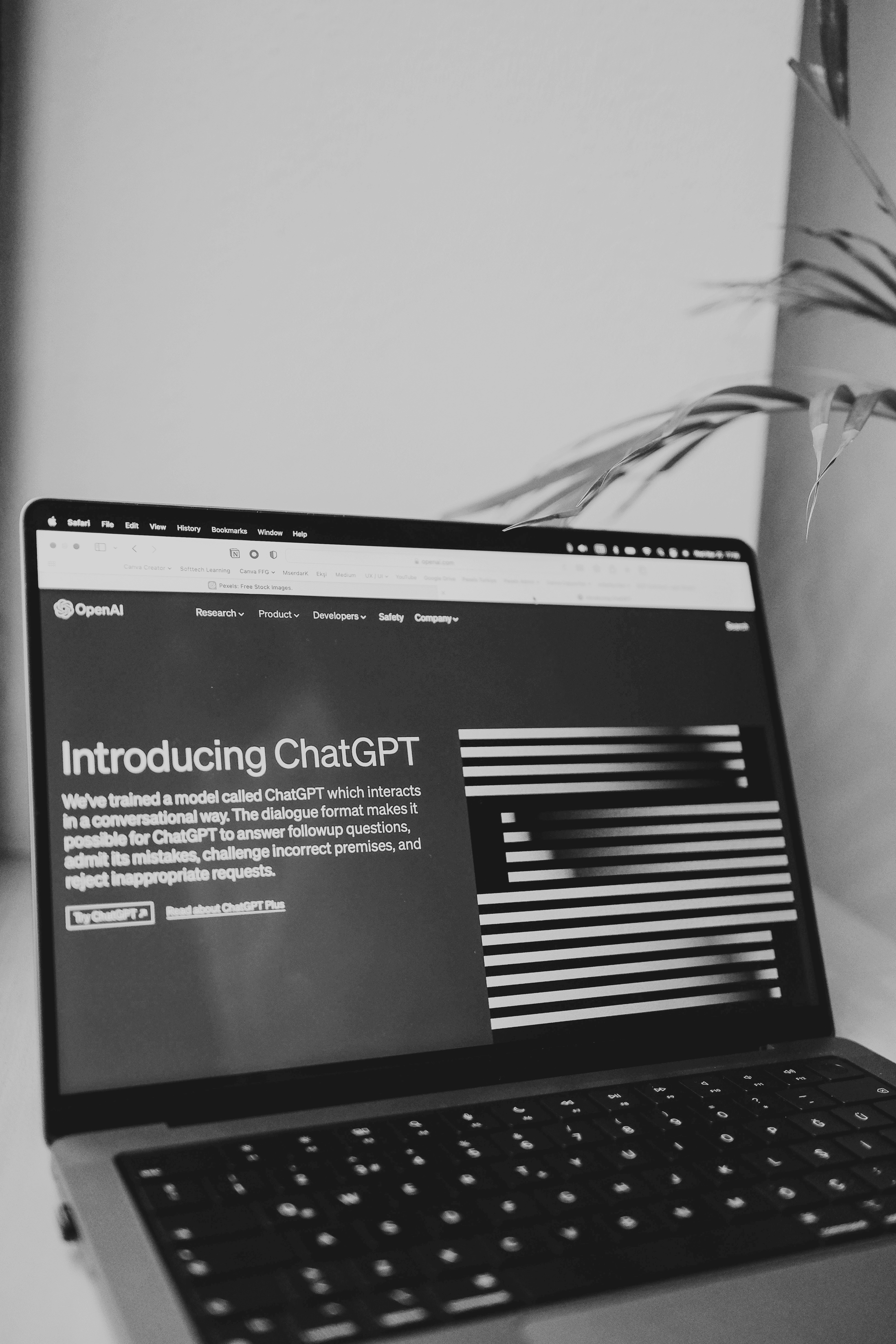UI/UX Design showcase